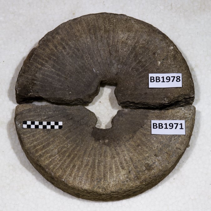 Bestandserfassung MVF